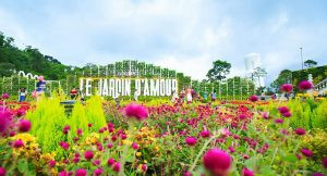 Bà Nà Hills - Khám phá Vườn hoa Le Jardin D'Amour và Hầm rượu Debay tại Bà Nà Hills 2 Bà Nà Hills | Vé Bà Nà Hills | Sun World Ba Na Hills - Vuon hoa Le Jardin D Amour Ba Na